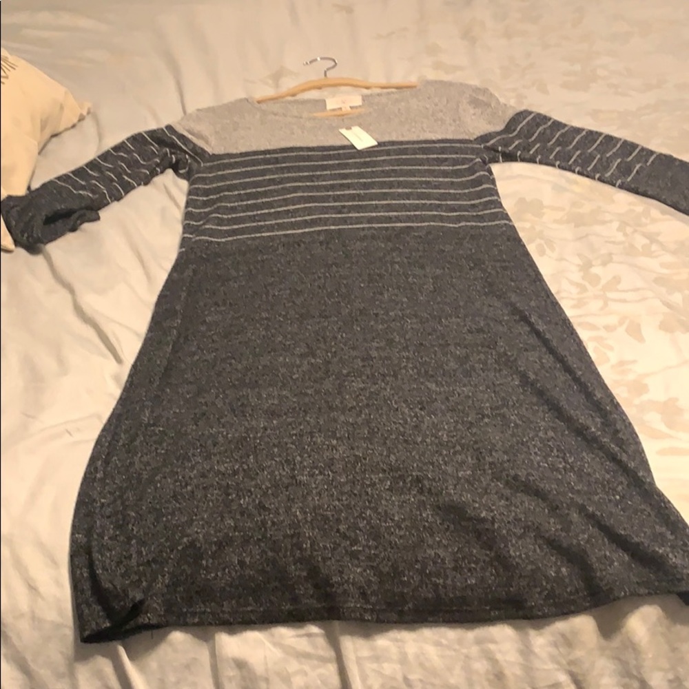Anthropologie Brushed Fleece Dress